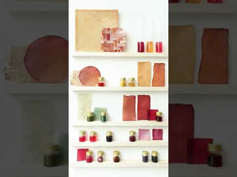 Studio Lionne van Deursen: Innovating Sustainable Design with Biodegradable Bacterial Cellulose