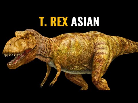Tyrannosaurus Rex&#039;s Asian Origins | T. Rex Ancestors Migrated from Asia to America Says Study