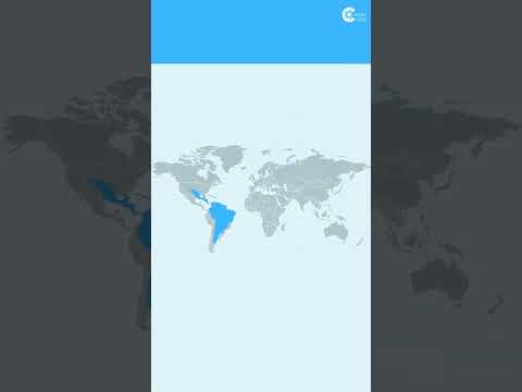 Micro LED Display Market Report 2025 and its Market Size, Forecast, and Share